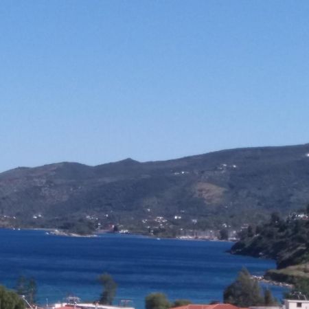 Forest & Sea Apartment Poros Town Dış mekan fotoğraf