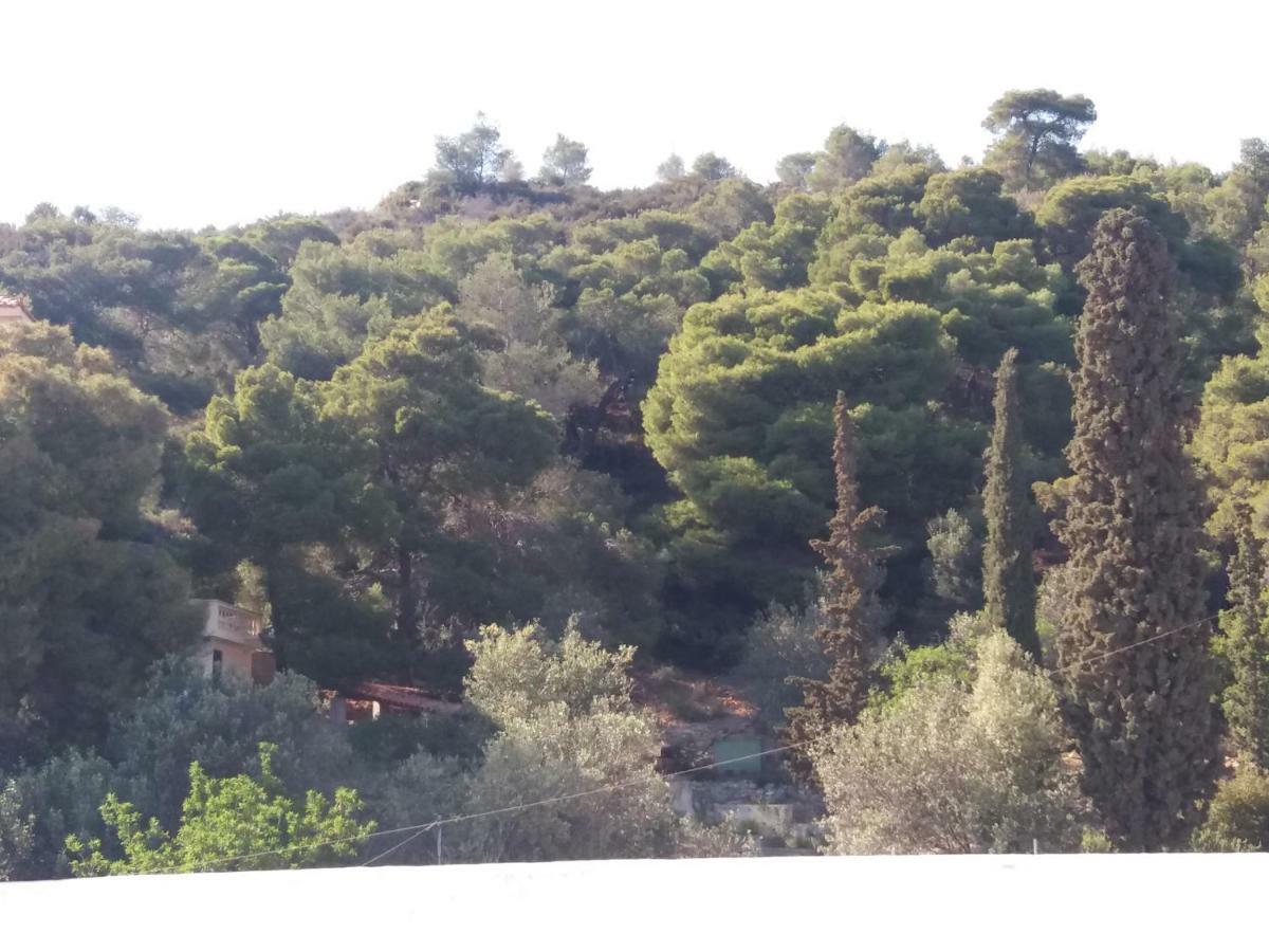Forest & Sea Apartment Poros Town Dış mekan fotoğraf